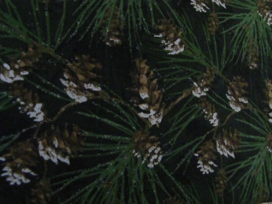 Christmas - Pine Cones and Sprigs of Pine Needles on Green - Click Image to Close